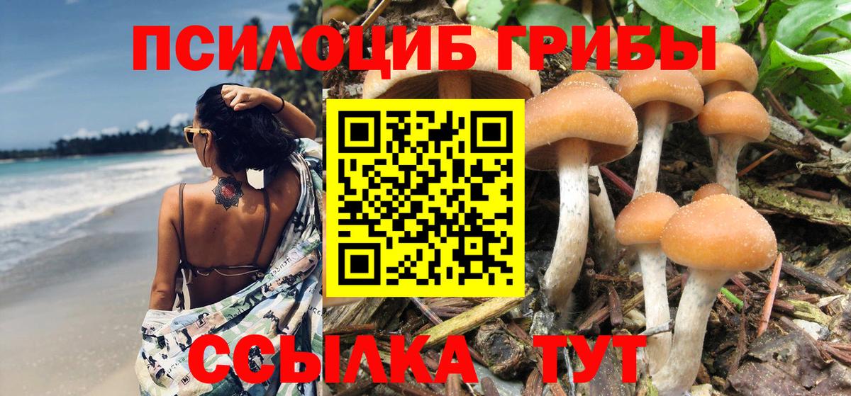 Изобильный  Псилоцибиновые грибы MAGIC MUSHROOMS  Вход с VPN 