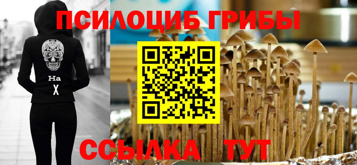 Псилоцибиновые грибы GOLDEN TEACHER Изобильный